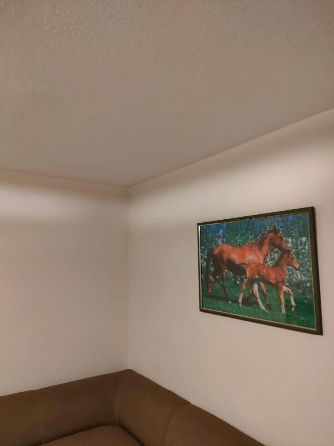 Apartament 6 Osobowy Szklarska Poręba Eksteriør bilde